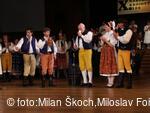 Jihočeské folklorní sdružení