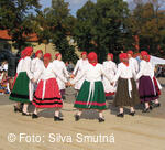 Muzejní spolek Velkobítešska